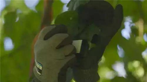 惟有這一些抓人眼球的戶外標識才配叫創(chuàng)意！廣告主也滿意10