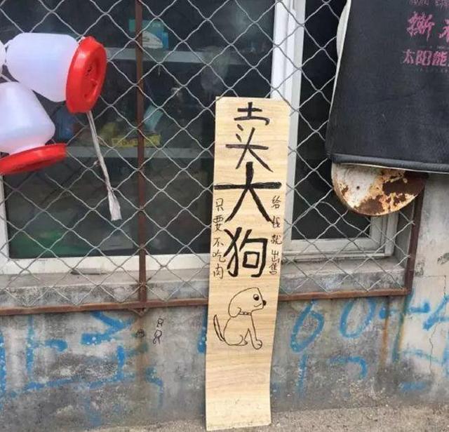 中國街頭雙面字廣告牌有多野？看看這一些讓人笑掉大牙的牌子名20