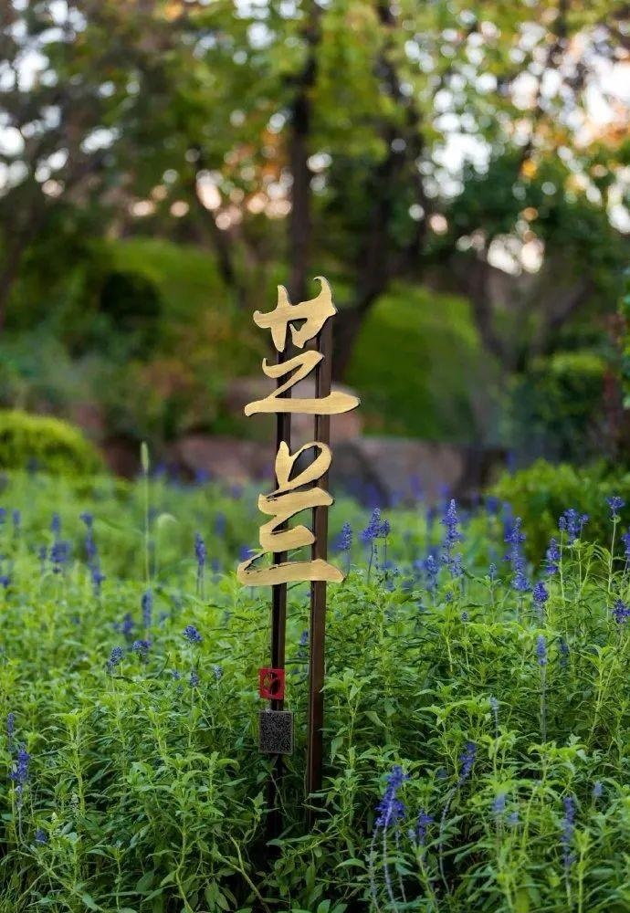 中國風(fēng)LOGO標(biāo)牌案例分享，美15
